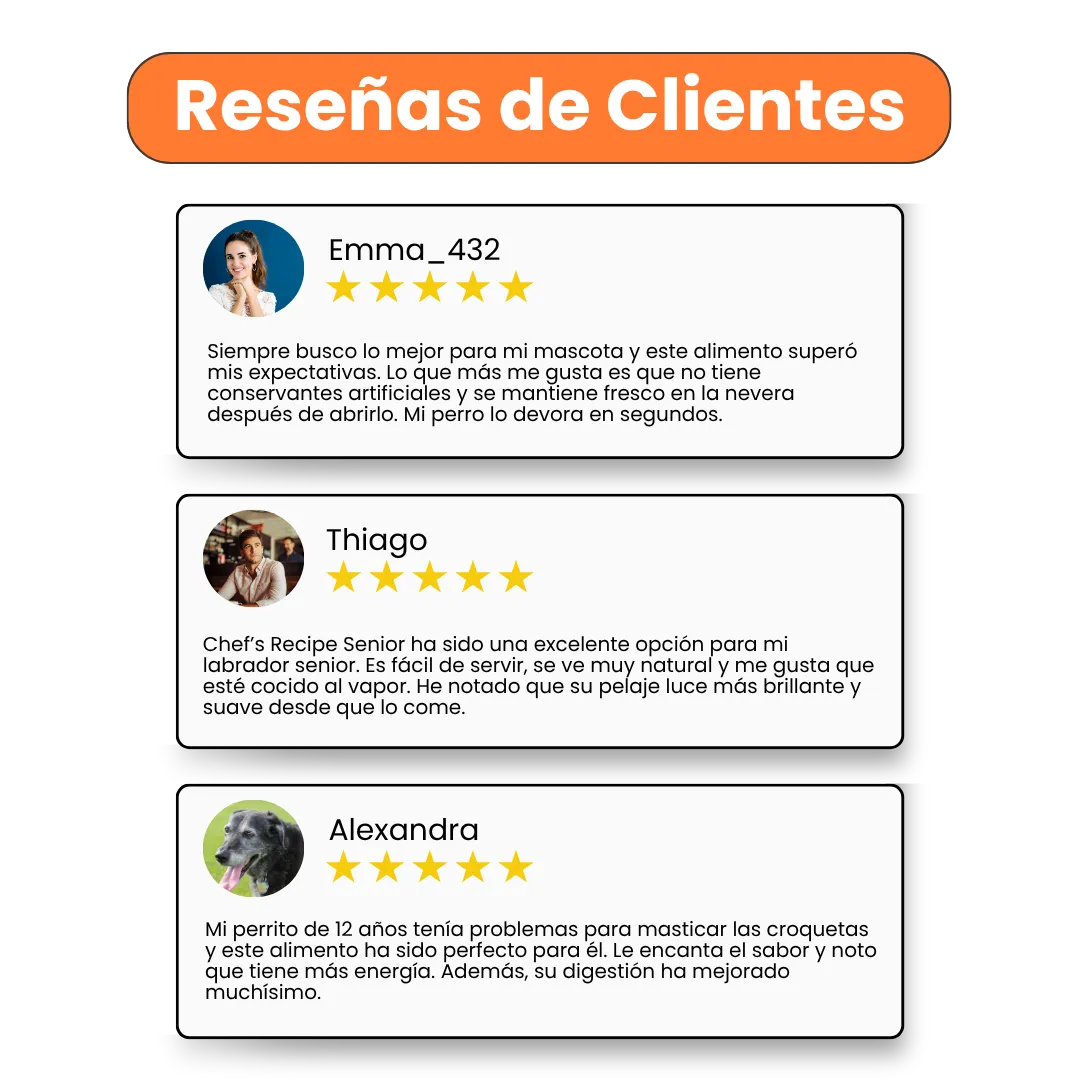 Alimento Húmedo Completo Chef's Recipe Salmón Kanu Pet para Gatos