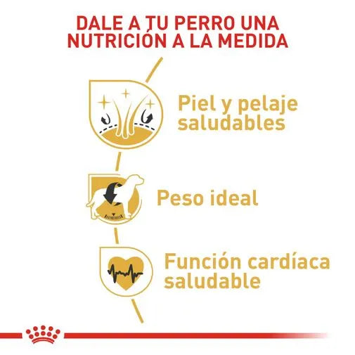 Alimento para perro Royal Canin Cocker