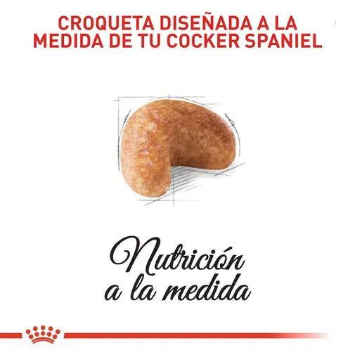 Alimento para perro Royal Canin Cocker