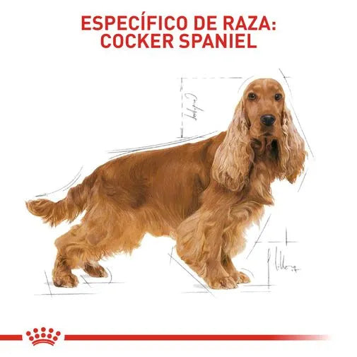 Alimento para perro Royal Canin Cocker