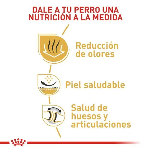 Alimento para perro Royal Canin Bulldog