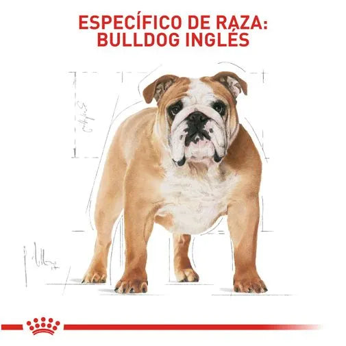 Alimento para perro Royal Canin Bulldog