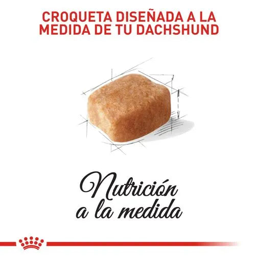 Alimento para perro Royal Canin Dachshund