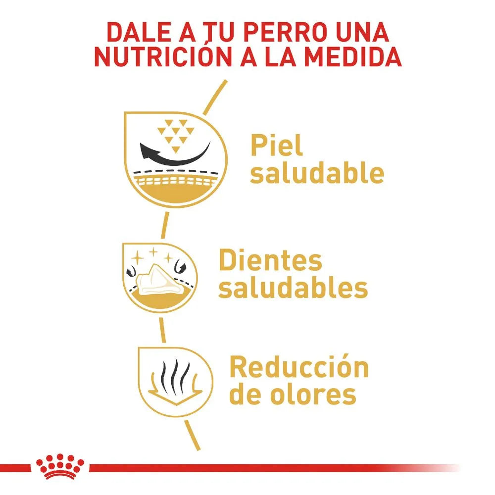 Alimento para perro Royal Canin Shih Tzu Especial Pack