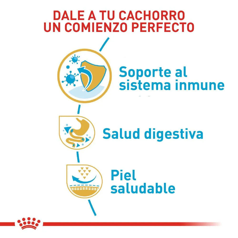 Alimento Para Perro Royal Canin Bulldog Frances Puppy 3 KG Obsequio 1.3 KG