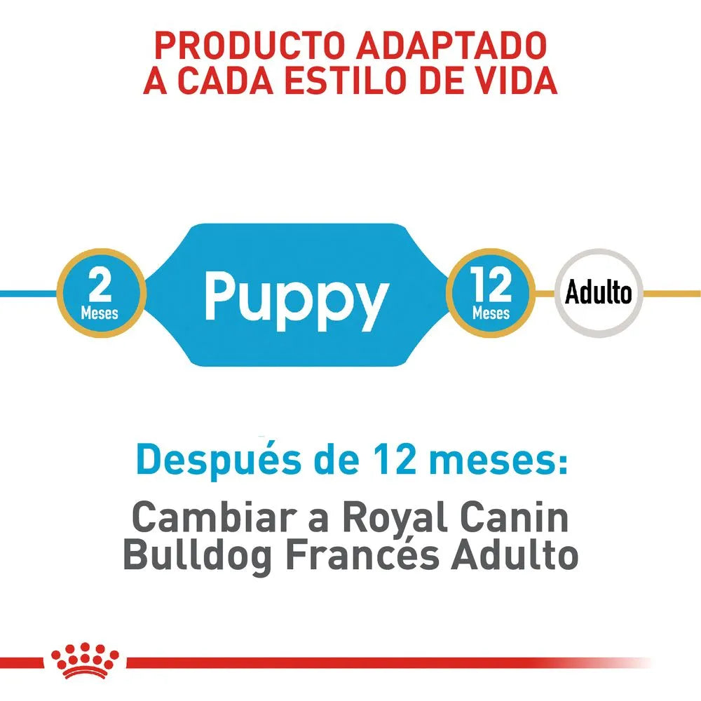 Alimento Para Perro Royal Canin Bulldog Frances Puppy 3 KG Obsequio 1.3 KG