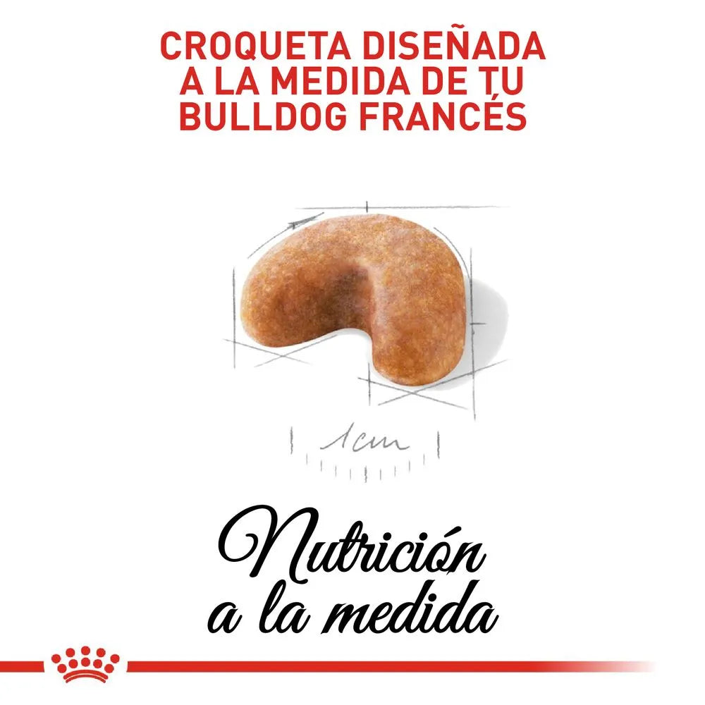 Alimento Para Perro Royal Canin Bulldog Frances Puppy 3 KG Obsequio 1.3 KG