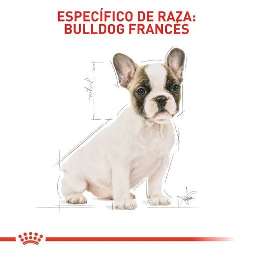 Alimento Para Perro Royal Canin Bulldog Frances Puppy 3 KG Obsequio 1.3 KG