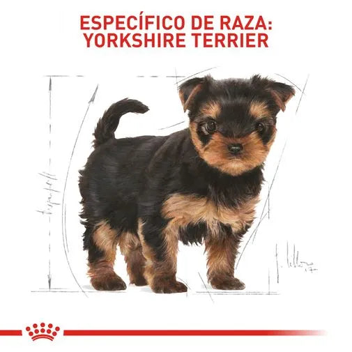 Alimento para perro Royal Canin Yorkshire Junior