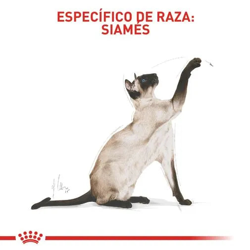 Alimento para gato Royal Canin Siames