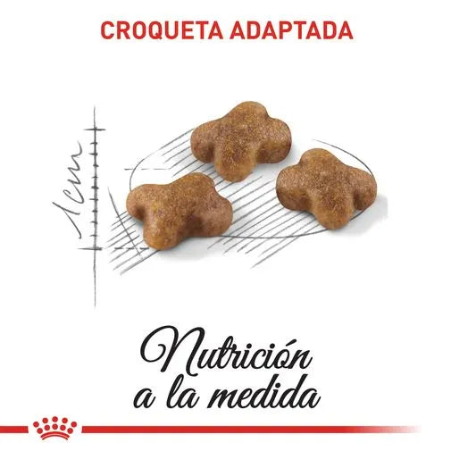 Alimento para gato Royal Canin Kitten
