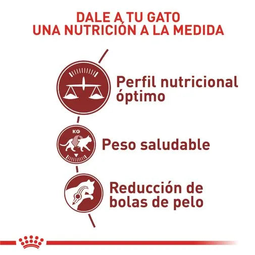Alimento para gato Royal Canin Adulto Fit Pecio Especial