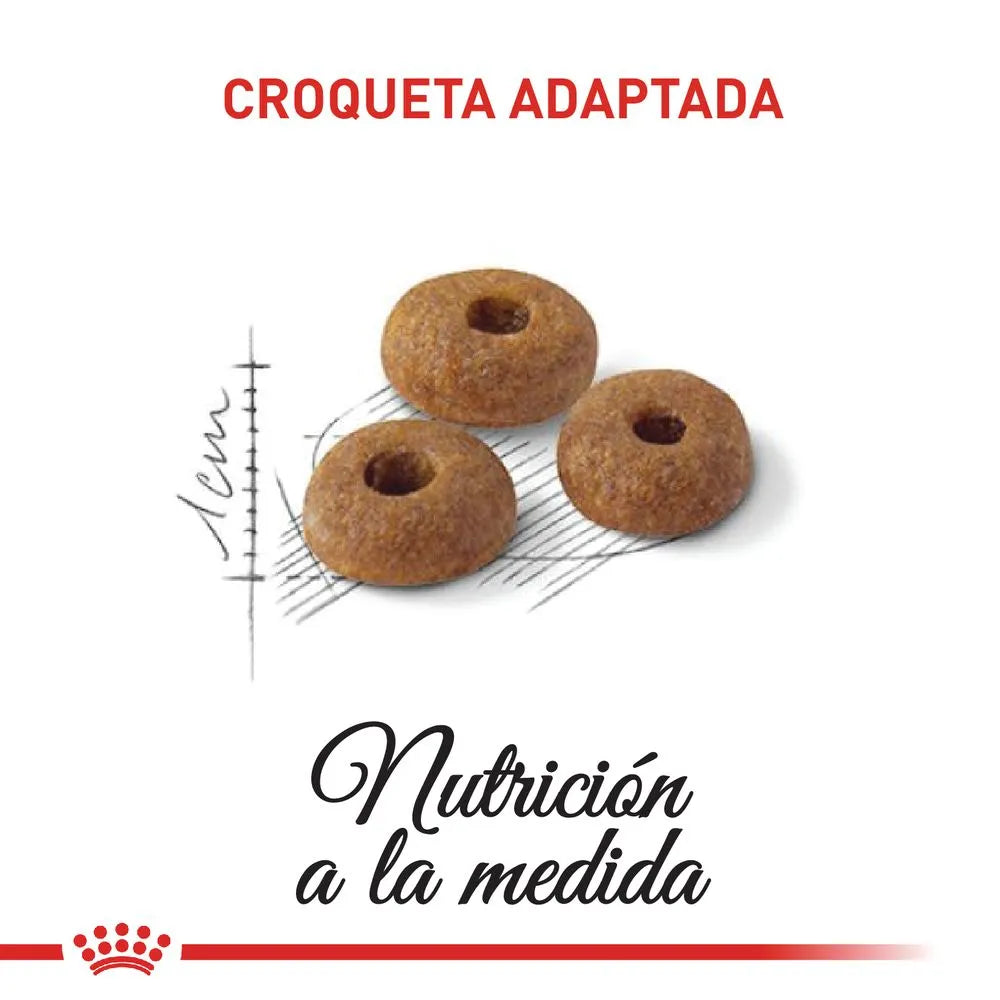 Alimento para gato Royal Canin Adulto Fit Pecio Especial