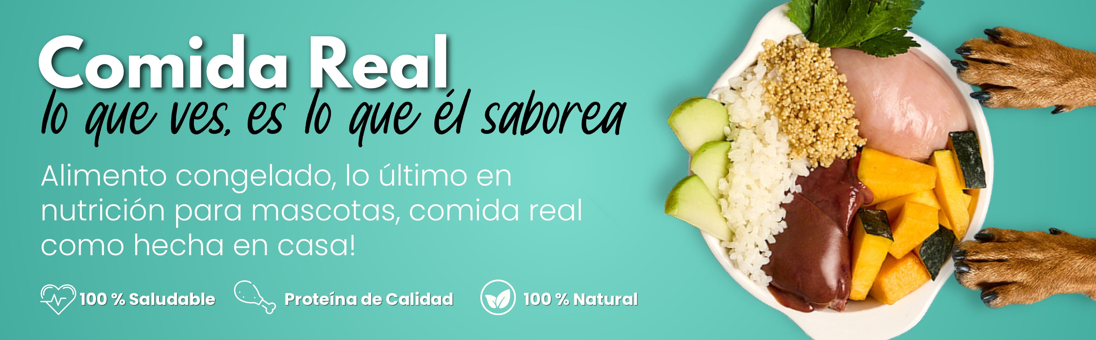 Receta_Gourmet_Pollo_Ahuyama_y_Quinoa-Kanu Pet