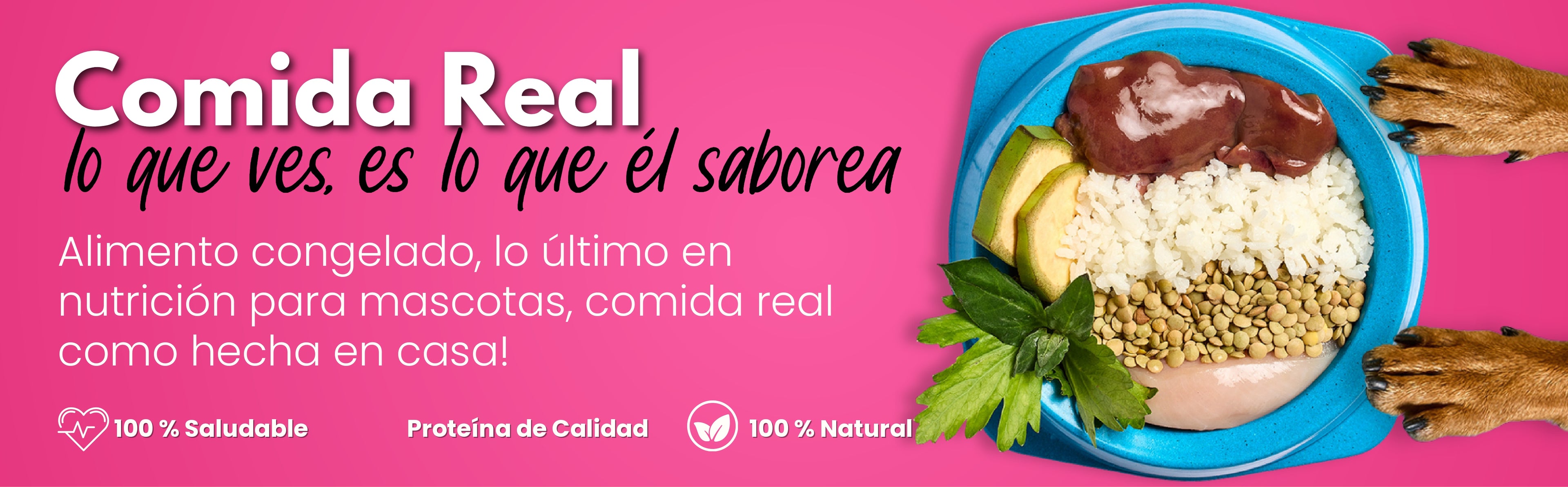 Receta_Gourmet_Pollo_Lentejas-Kanu Pet