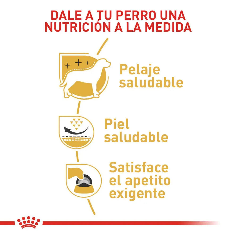 Alimento para perro Royal Canin Westhighland White Terrier