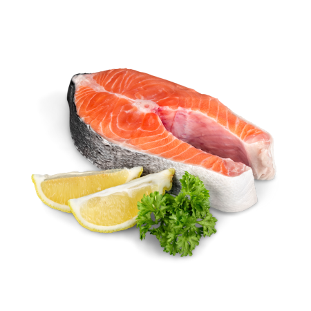 Salmon-Kanu Pet