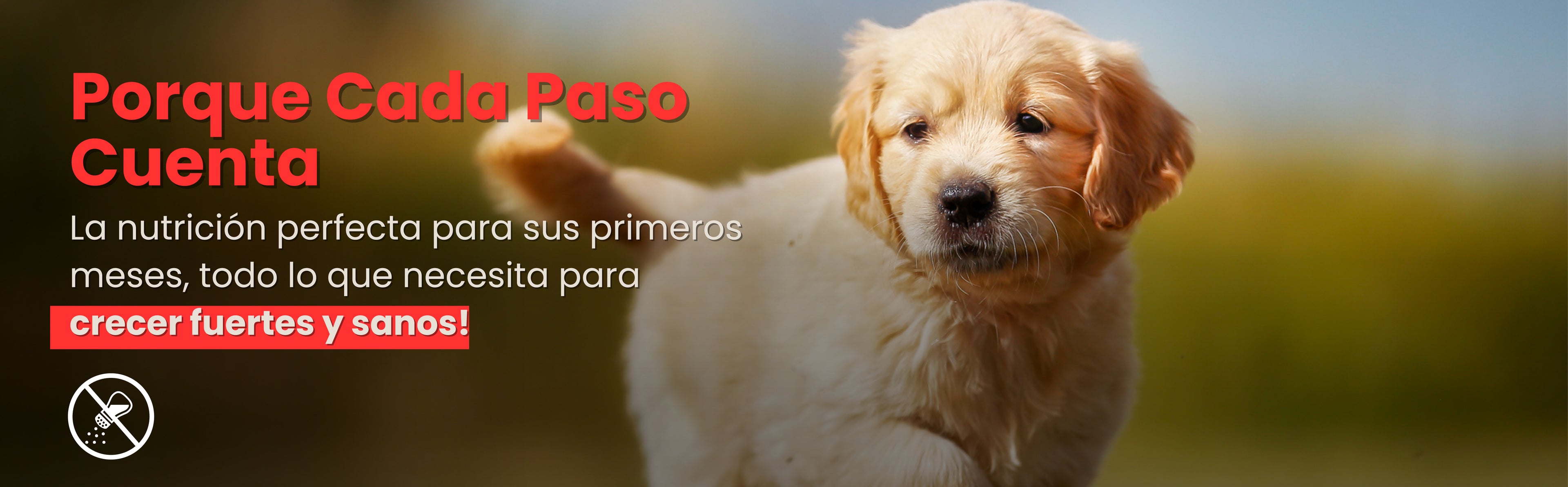 Sin_titulo-2-03-Kanu Pet