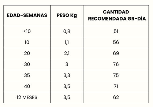Guía de Alimentación