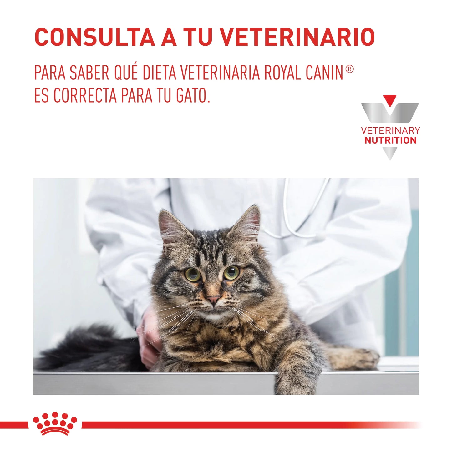 Alimento Para Gato Royal Canin Urinary S/O VHN