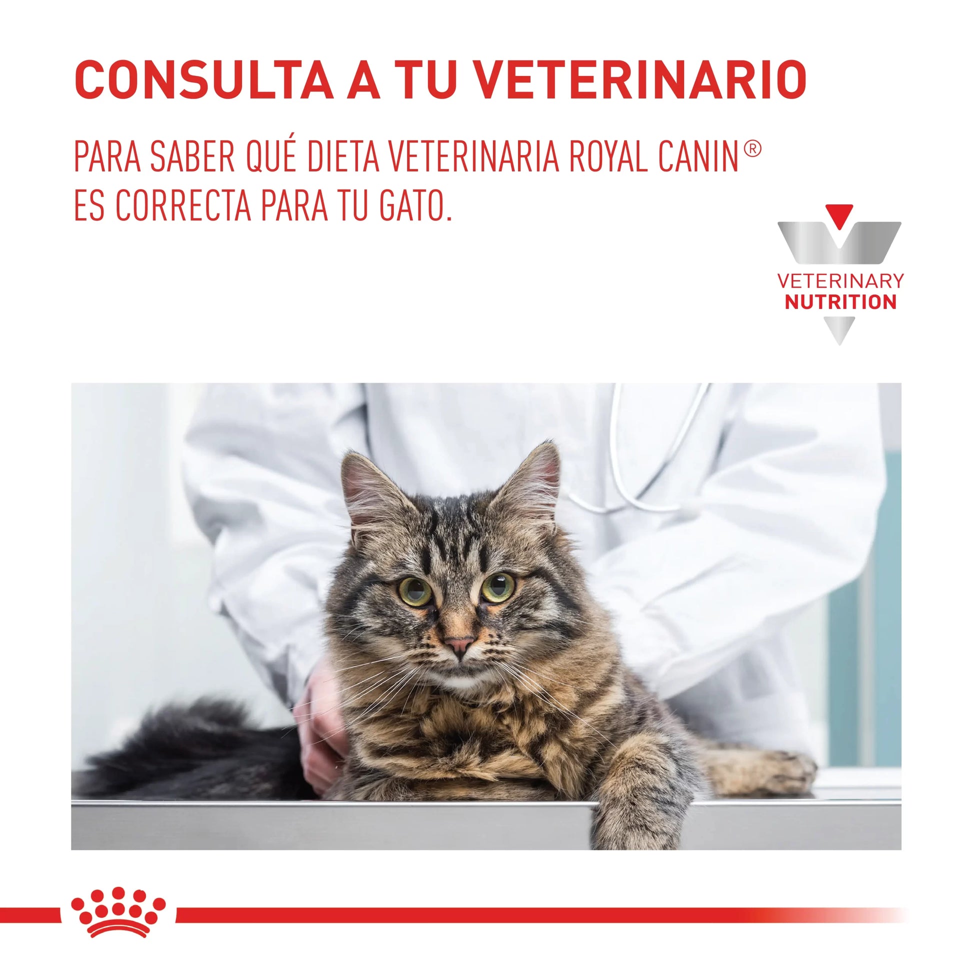 Alimento Para Gato Royal Canin Urinary S/O VHN