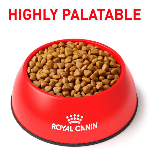 Alimento Para Gato Royal Canin Calm