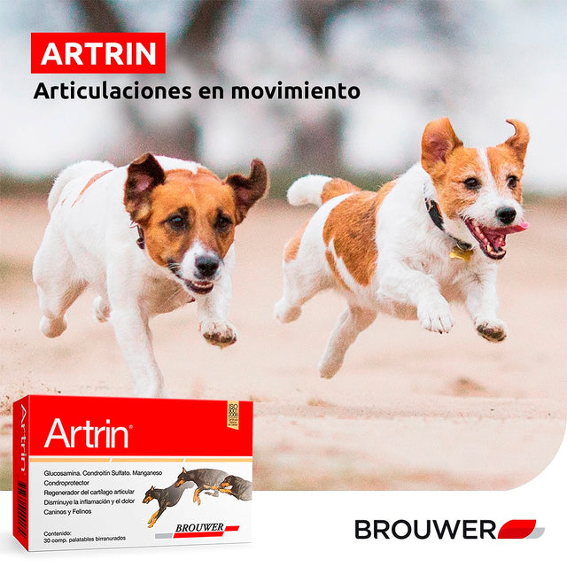 Artrin Brouwer x 30 Comp para todos