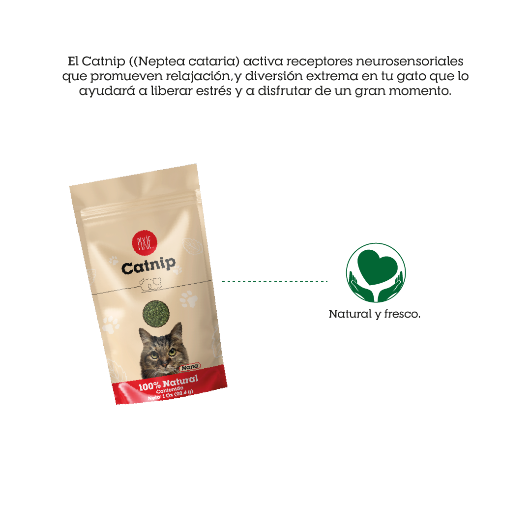 Catnip Pixie para gato