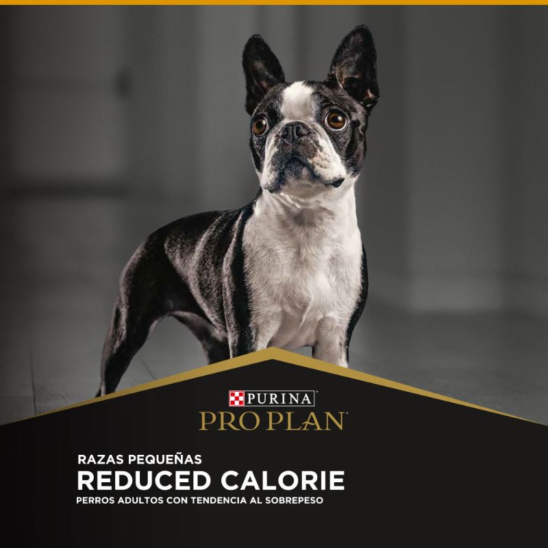 Alimento para perro Proplan Reduce Calorie Razas Pequeñas