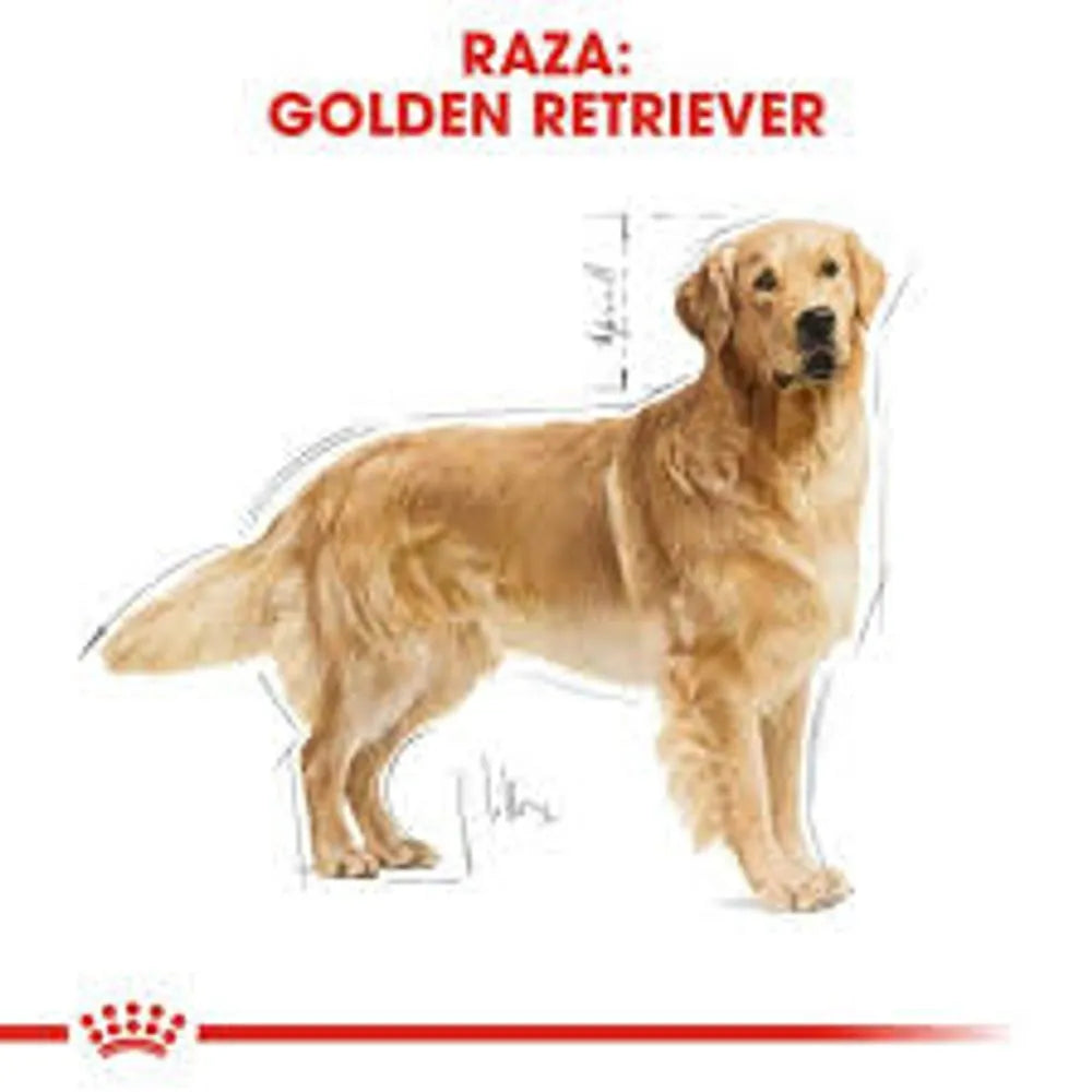Alimento para perro Royal Canin Golden Retriever