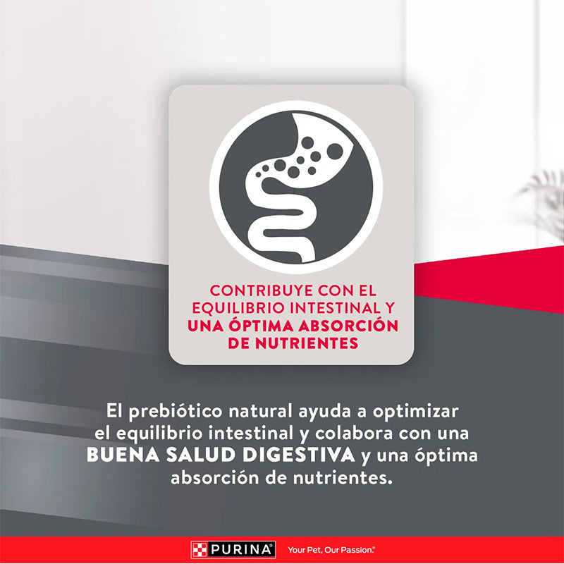 Alimento Para Perro Excellent Maintenance Adult