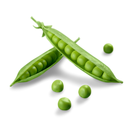 guisantes-Kanu Pet