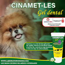 Cinamet les x 60 ml para todas