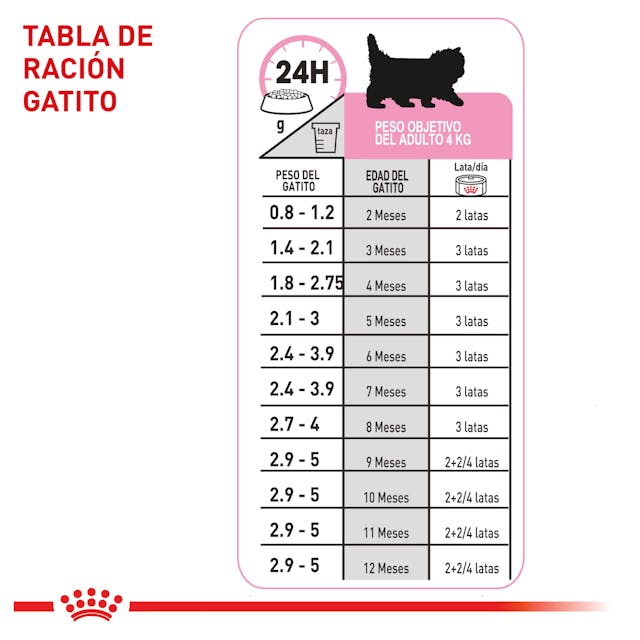 Alimento Para Gato Royal Canin Persa Kitten Especial Pack