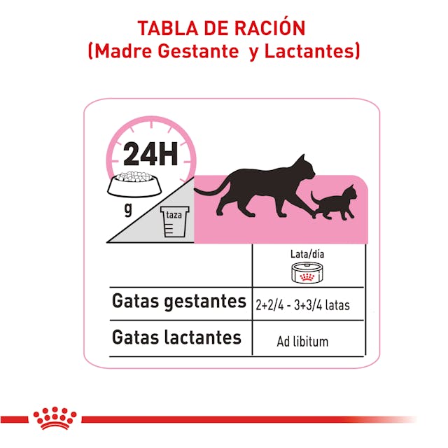 Alimento Para Gato Royal Canin Persa Kitten Especial Pack