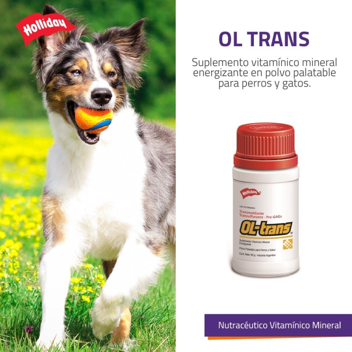 Oltrans x 80 gr para todas