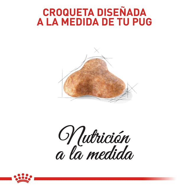 Alimento para perro Royal Canin Pug Adulto