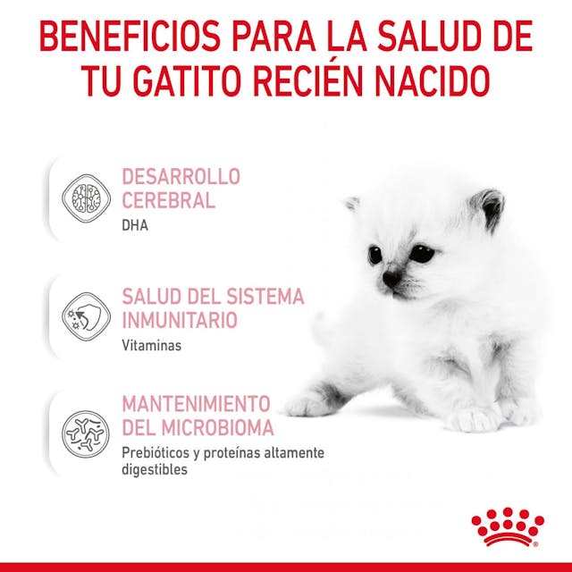 Alimento para Kitten Royal canin Babycat Milk