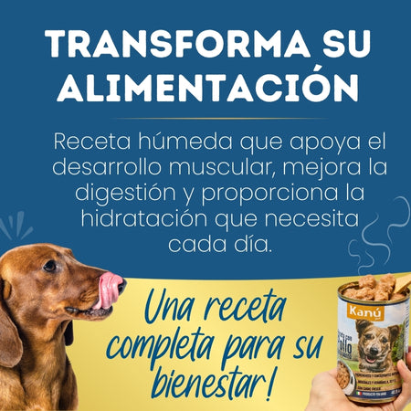 receta_de_pollo-Kanu Pet