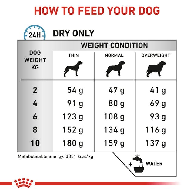 Alimento Para Perro Royal Canin Anallergenic Raza Pequeña