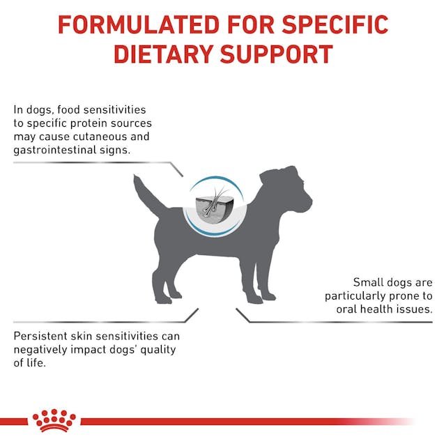 Alimento Para Perro Royal Canin Anallergenic Raza Pequeña