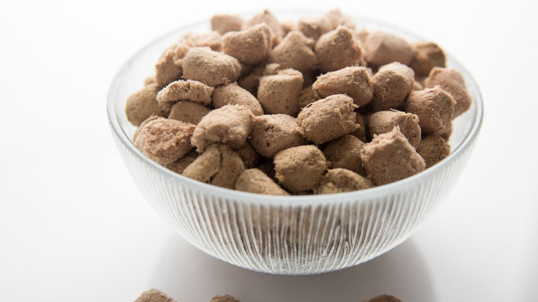 ¿Qué es la comida liofilizada para mascotas y por qué es tendencia?-Kanu Pet