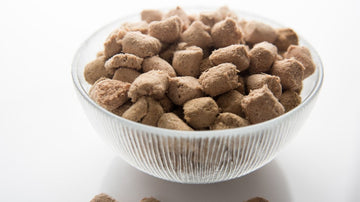 ¿Qué es la comida liofilizada para mascotas y por qué es tendencia?-Kanu Pet