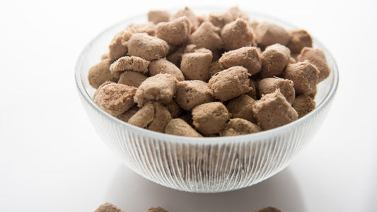 ¿Qué es la comida liofilizada para mascotas y por qué es tendencia?-Kanu Pet