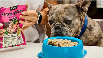 Guía para una transición segura y efectiva al cambiar el alimento de tu mascota