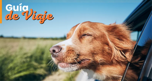 Guía Gratis de Viaje para Mascotas