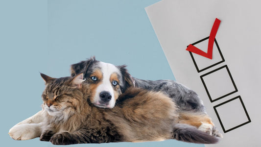 Check Lista para tu mascota