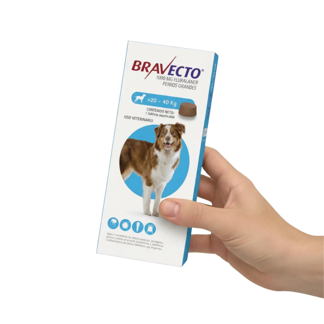 Antipulgas Bravecto 20 a 40 kg para perro