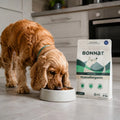 Alimento Seco Bonnat Veterinary Diet Canine Hypoallergenic