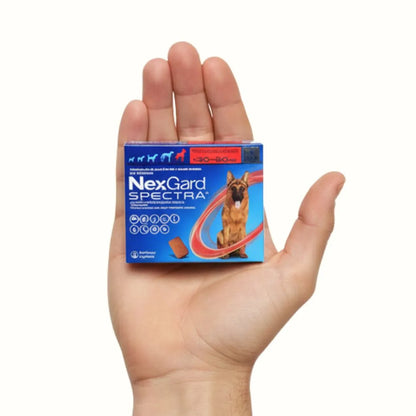 Antipulgas Nexgard Spectra para Perros XL de 30 a 60 Kg